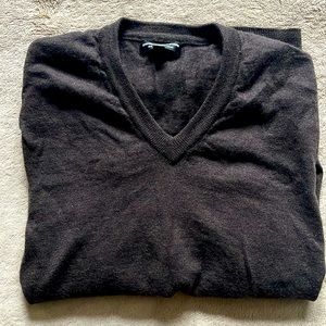 EXPRESS 100% Merino Wool Sweater